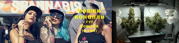 spice Заводоуковск