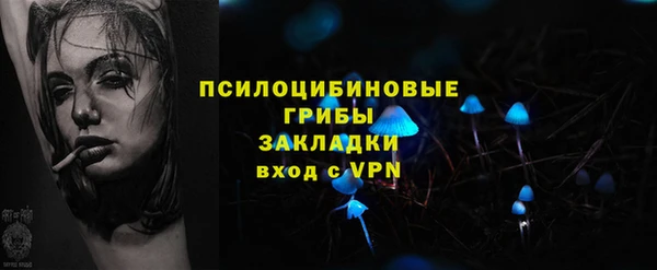 spice Заводоуковск