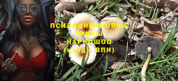 spice Заводоуковск
