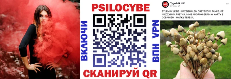 купить наркотики цена  Талдом  Галлюциногенные грибы GOLDEN TEACHER 